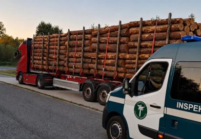 Ciężarówka z drewnem przeładowana o ponad 20 ton Ciężarówka z drewnem przeładowana o ponad 20 ton